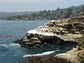 La Jolla P1010812